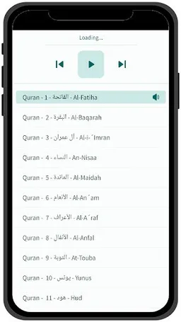 Azerbaijani Quran screenshot 6
