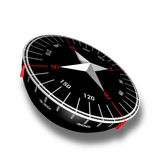 Marine Compass icon