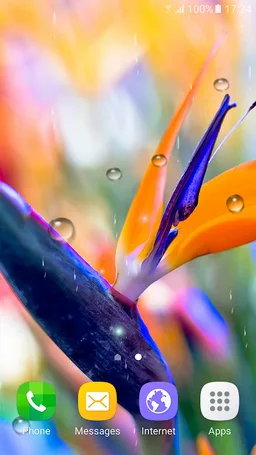 Tropical Flower Live Wallpaper screenshot 10