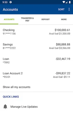 VAPR MOBILE BANKING screenshot 3