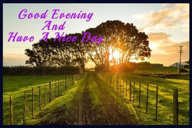 Good Evening Cards screenshot 1