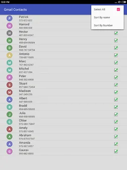 Delete all Phonebook Contacts screenshot 15