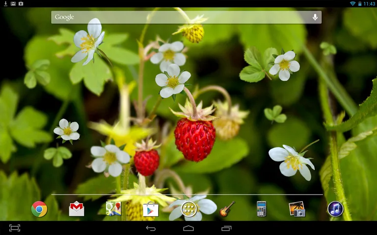 Forest Berry LWP screenshot 3