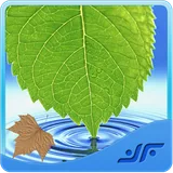 com.medicinal.herbs.plant icon