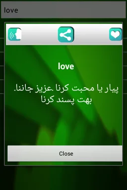 The English Urdu Dictionary screenshot 2