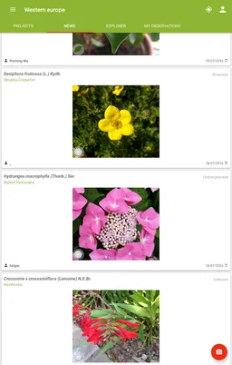 PlantNet Plant Identification screenshot 6