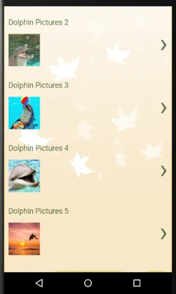 Dolphin Show Videos n Pics screenshot 2