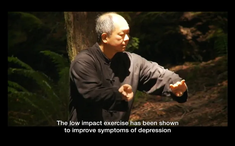 Yang Tai Chi for Beginners 1 b screenshot 7