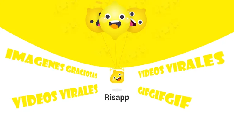 Risapp cover image
