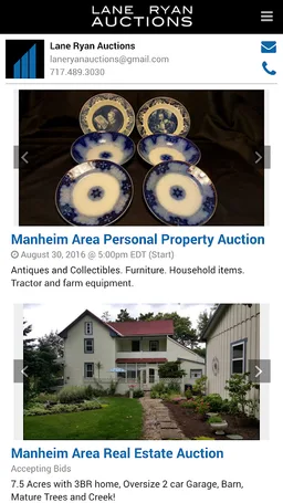 Lane Ryan Auctions screenshot 2