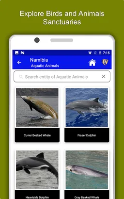 Namibia Travel & Explore, Offline Country Guide screenshot 6