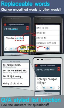 RightNow Vietnamese Conversati screenshot 4