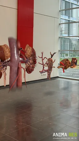 INSIGHT KIDNEY Enterprise screenshot 16