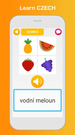 Learn Czech - Language Learning Pro screenshot 8