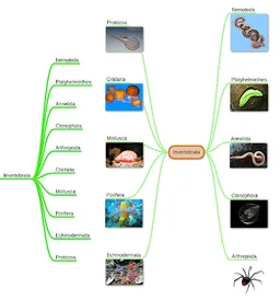 miMind - Easy Mind Mapping screenshot 14
