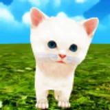 Kittie Kittie icon