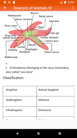Zoology screenshot 6