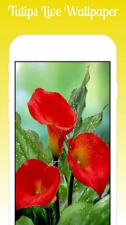 Tulips Live Wallpaper 2019 HD Free Tulips flowers screenshot 5