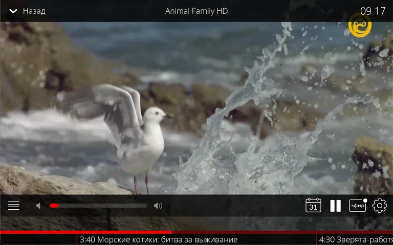 МТС ТВ (Беларусь) screenshot 21