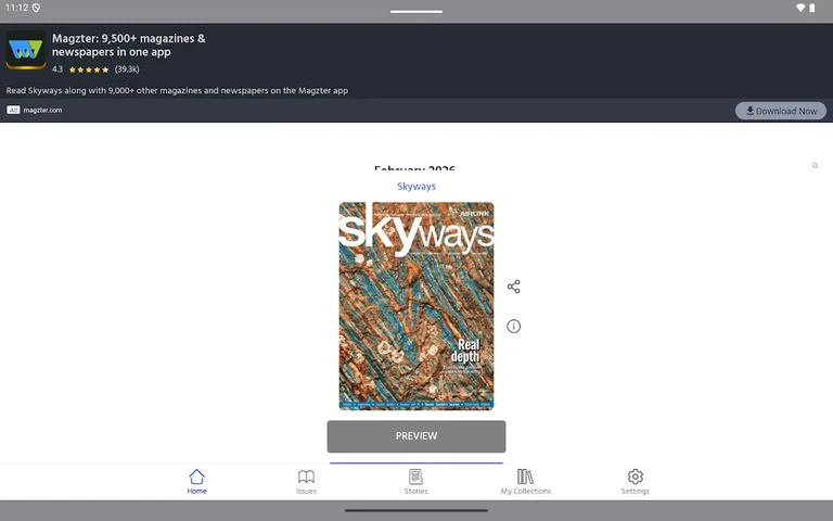 Skyways screenshot 11