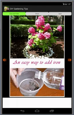 DIY Gardening Tips screenshot 10
