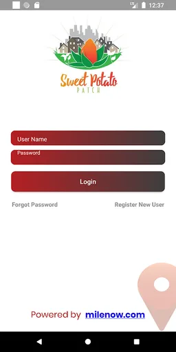 Sweet Potato Patch USA screenshot 1