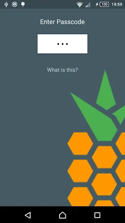 Pinapple screenshot 1