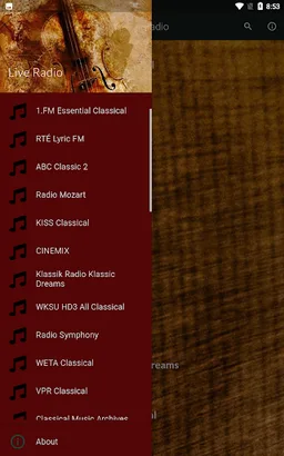 Classical Music Radio screenshot 1