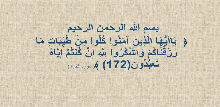 Halal Zulal cover image