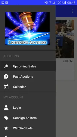 Lightning Auctions screenshot 5