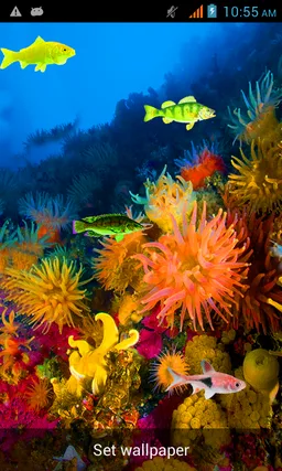 Under Water Fishes LWP screenshot 5