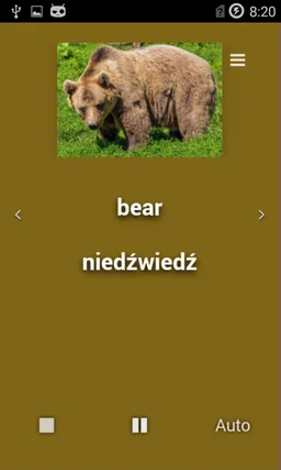 English Animals screenshot 5