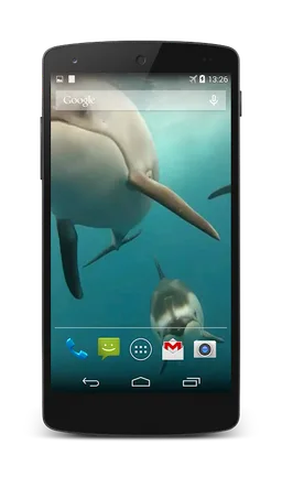 Dolphins Live Wallpaper screenshot 4