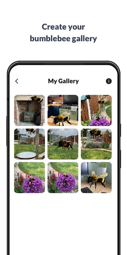 What’s that bumblebee screenshot 3