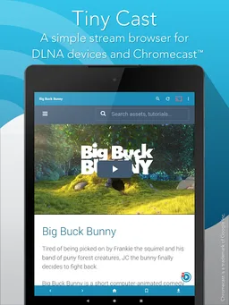Tiny Cast Browser - Cast to Chromecast / DLNA screenshot 3