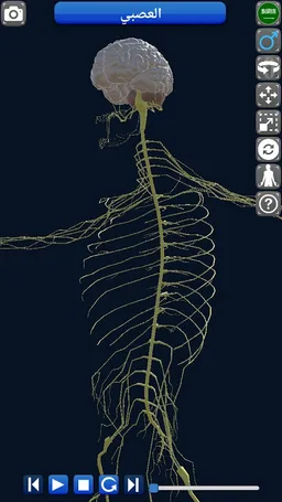 Anatomy 3D screenshot 15