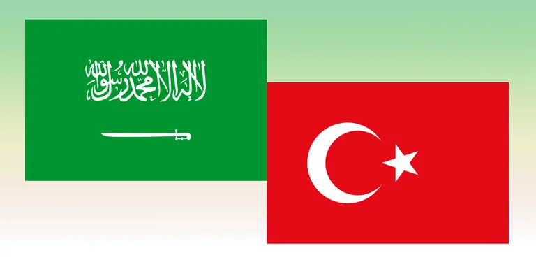 Arabic turkish translator cover image