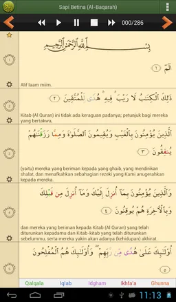 Al'Quran Bahasa Indonesia Advanced screenshot 10