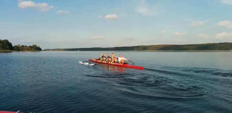 StrokeCoach cover image