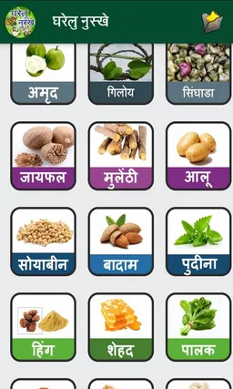 Gharelu Nuskhe in Hindi screenshot 4