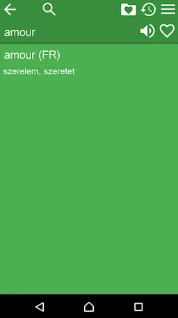 French Hungarian Dictionary screenshot 5