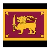 Beginner Sinhala icon