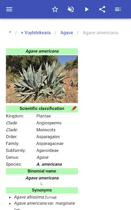 Houseplants screenshot 13