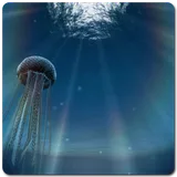 Jellyfish 3D LiveWallpaper icon