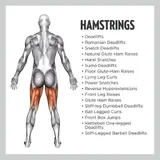 All Hamstrings Exercises icon