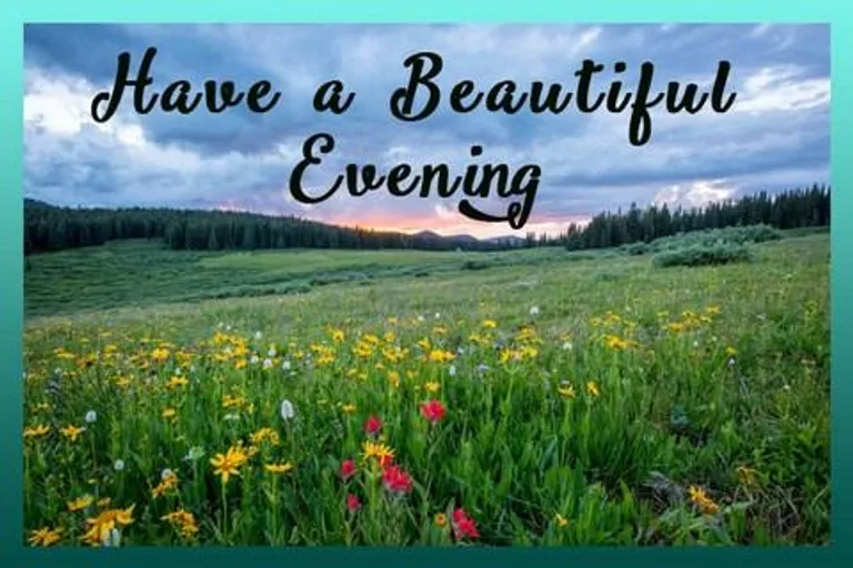 Good Evening Cards screenshot 2