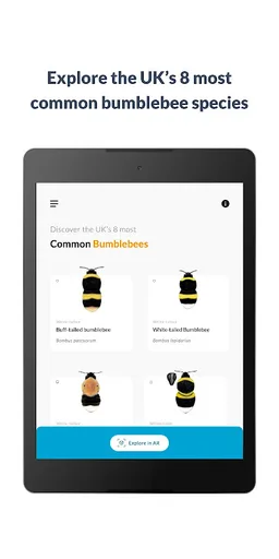 What’s that bumblebee screenshot 11