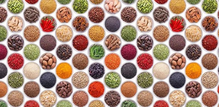 WikiMed Offline cover image