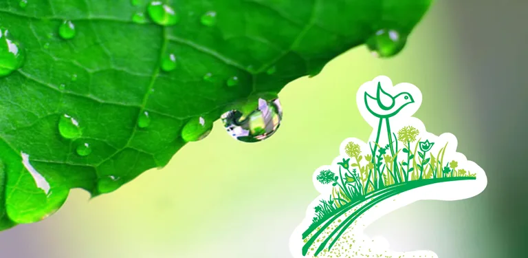 Creative Outdoor games ideas cover image