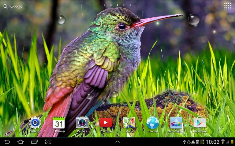 Hummingbirds Live Wallpaper screenshot 1